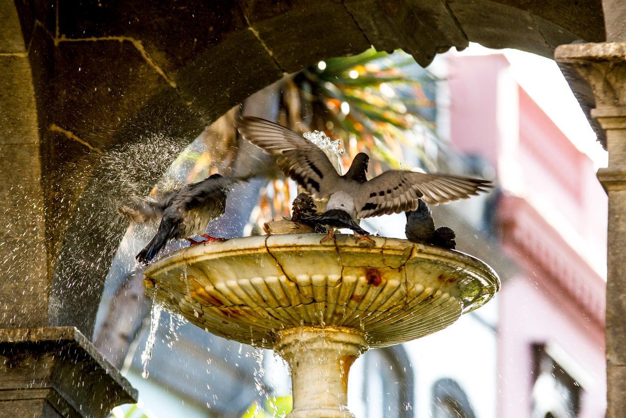Aminta Home Las Palmas de Gran Canaria Dış mekan fotoğraf